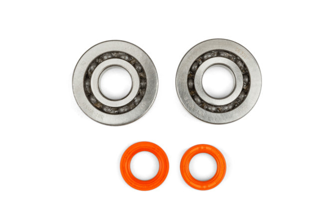 Crankshaft Bearing Set Stage6 R/T C4 steel cage Piaggio Zip