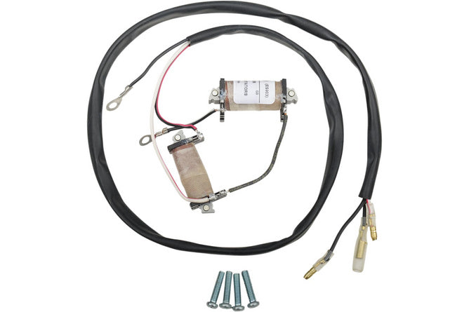 Ignition Stator Moose Racing RM 85